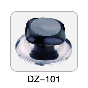 DZ-101