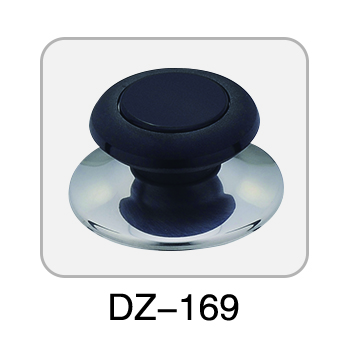 DZ-169 （彩色）