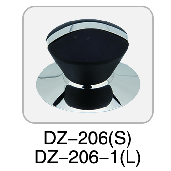 DZ-207