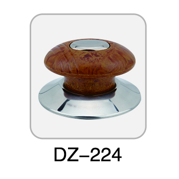 DZ-224